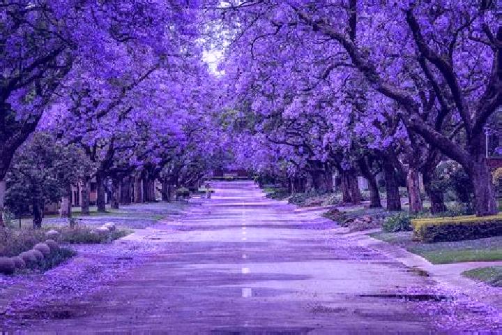 Kinsley, 33 — Escort in Jacarandas, Mexico