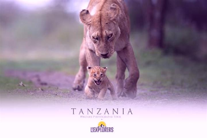 Kinsley, 33 — Escort in Mlangali, Tanzania