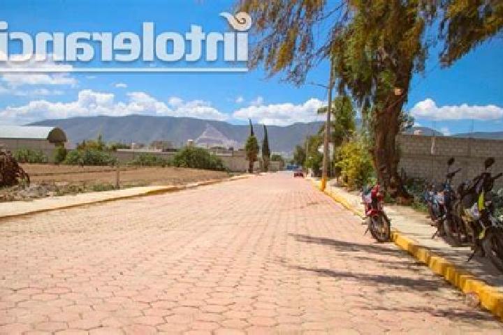 Kinsley, 33 — Escort in Palmarito Tochapan, Mexico