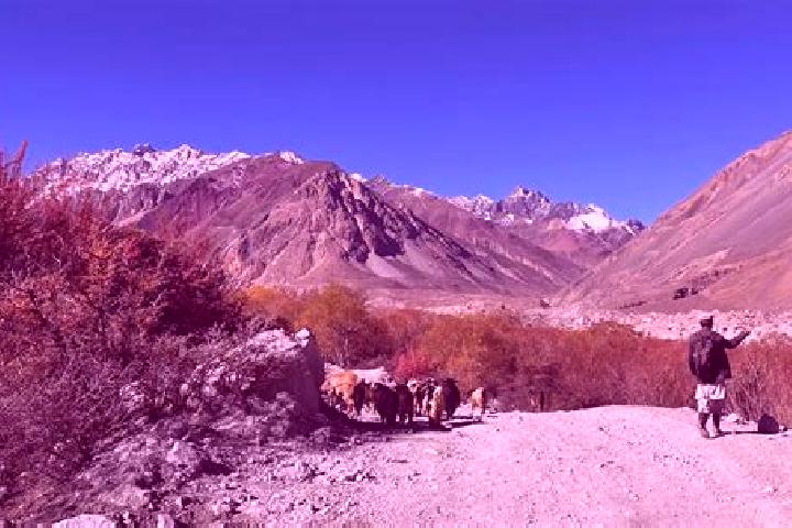 Kinsley, 33 — Escort in Ziarat, Pakistan
