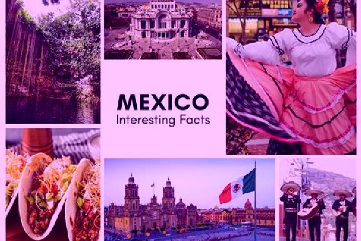 Kinsley, 33 — Escort in Zilacayota, Mexico