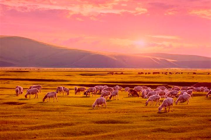 Kinsley, 34 — Escort in Ihsueuej, Mongolia