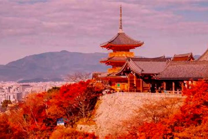 Kinsley, 34 — Escort in Otawara, Japan