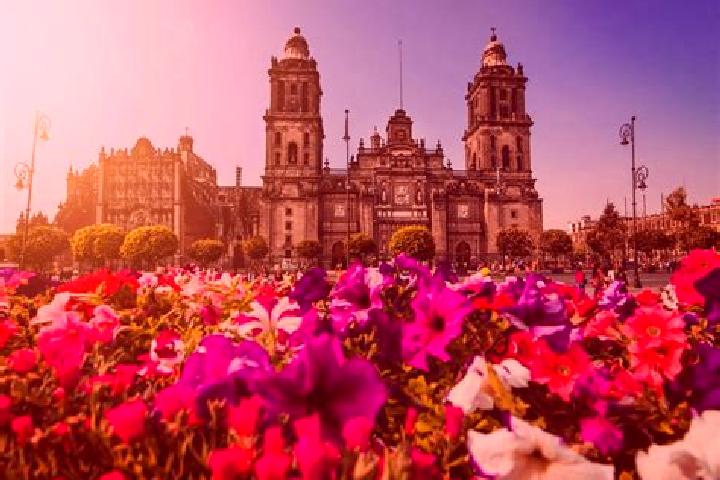 Kinsley, 35 — Escort in Ciudad de Huitzuco, Mexico