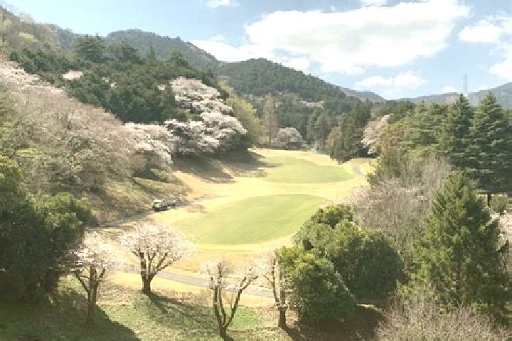 Kinsley, 35 — Escort in Isehara, Japan