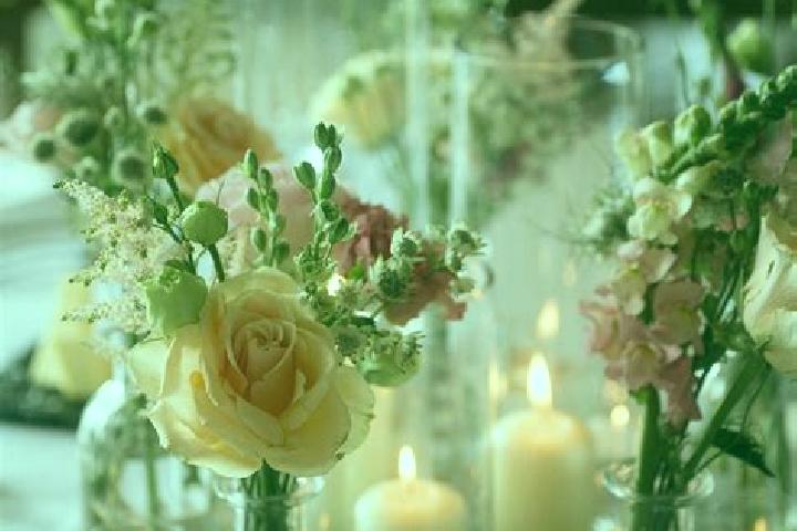 Kinsley, 35 — Escort in Jars, France