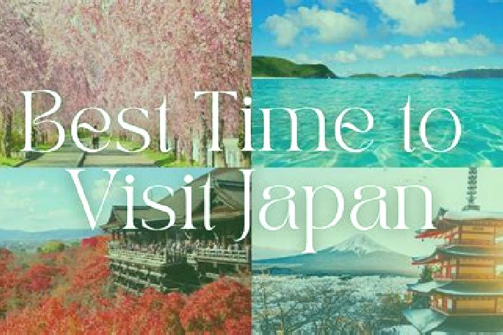 Kinsley, 35 — Escort in Minami-oi, Japan