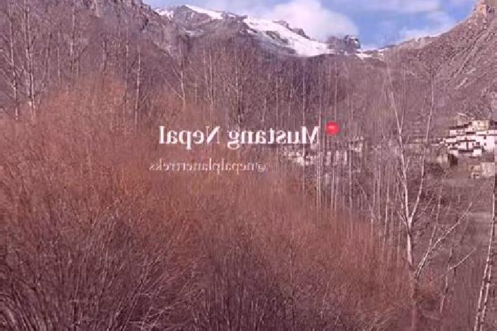 Kinsley, 35 — Escort in Mustang, Nepal