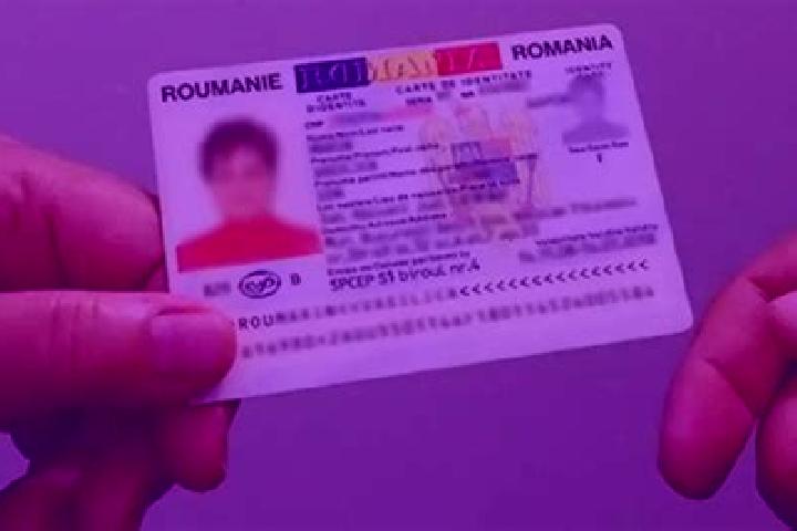 Kinsley, 35 — Escort in Sannicolau Roman, Romania