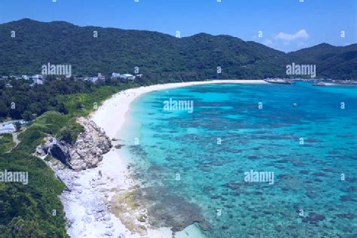 Kinsley, 35 — Escort in Tokashiki, Japan