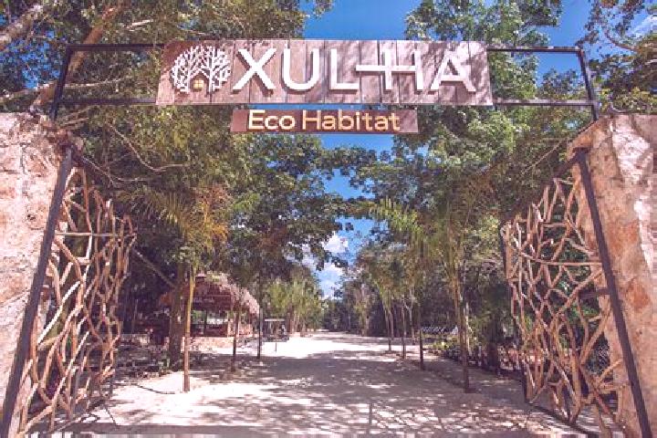 Kinsley, 35 — Escort in Xul-Ha, Mexico