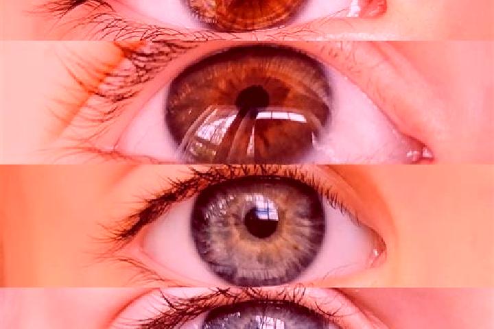 Kinsley, 36, a chestnut hazel-eyed mixed companion based in Obernberg am Inn. Offering Roleplay, Tantra, Fetish. Available for incall and outcall, day and ev...