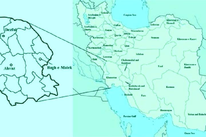 Kinsley, 36 — Escort in Bagh-e Malek, Iran