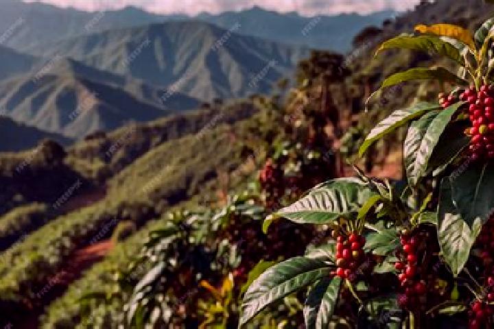 Kinsley, 36 — Escort in Huehuetenango, Guatemala
