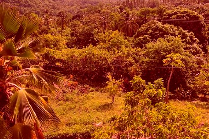 Kinsley, 36 — Escort in Ti Rocher, Saint Lucia