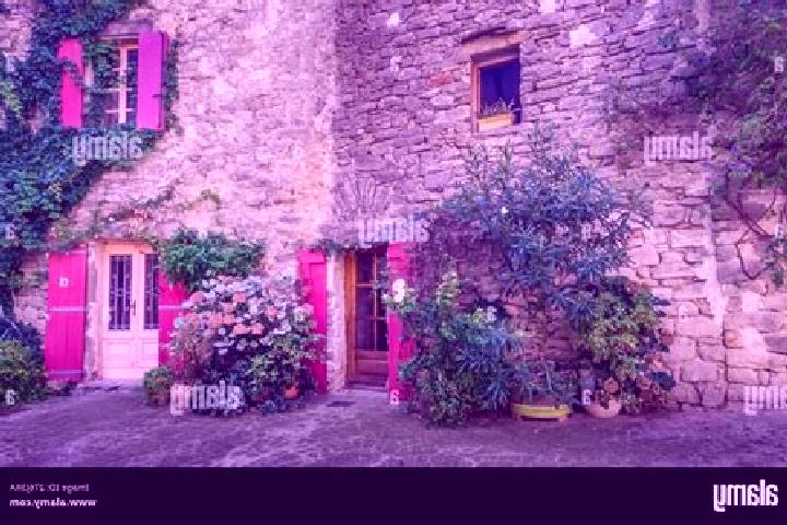 Kinsley, 37 — Escort in Aigne, France