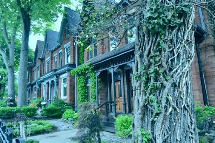Kinsley, 37 — Escort in Cabbagetown-South St.James Town, Canada