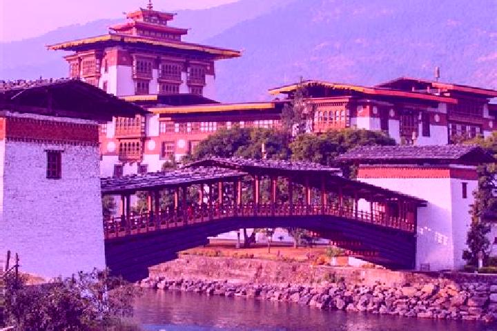 Kinsley, 37 — Escort in Geylegphug, Bhutan