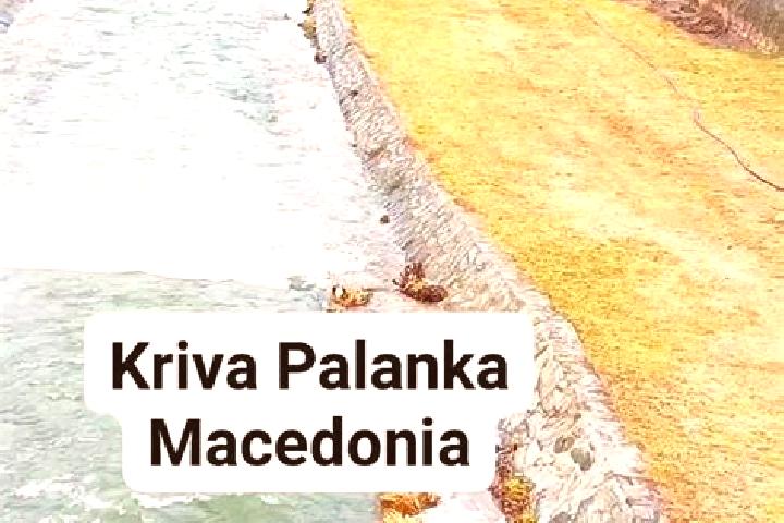 Kinsley, 37 — Escort in Palanka, Ukraine