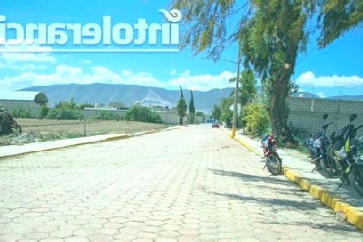 Kinsley, 37 — Escort in Palmarito Tochapan, Mexico