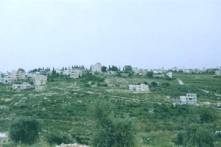 Kinsley, 37 — Escort in Saffa, Palestine