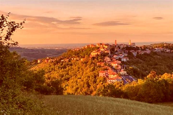 Kinsley, 37 — Escort in Sogliano al Rubicone, Italy