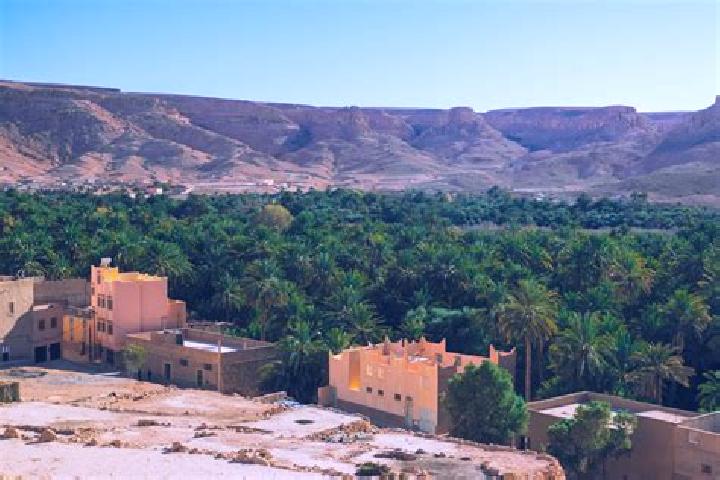 Kinsley, 37 — Escort in Zagora, Morocco