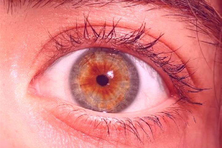 Kinsley, 38, a red hazel-eyed european companion based in Gangtun. Offering Fetish, Party Girl, Deep French Kissing, GFE. Available for incall and outcall, d...