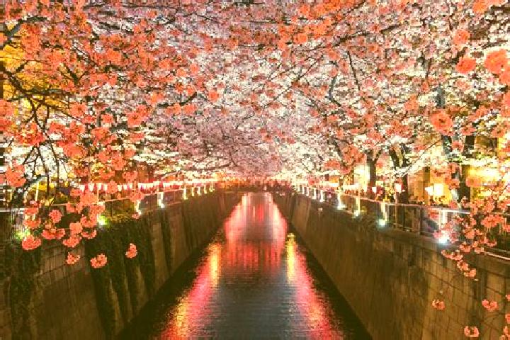 Kinsley, 38 — Escort in Aizu-misato Machi, Japan