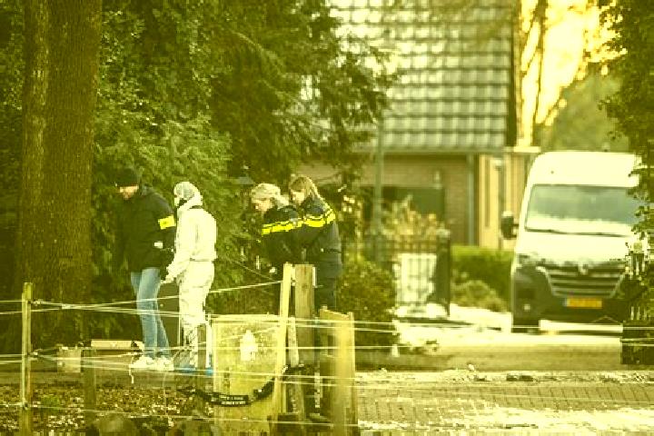 Kinsley, 38 — Escort in Kapelle-op-den-Bos, Belgium