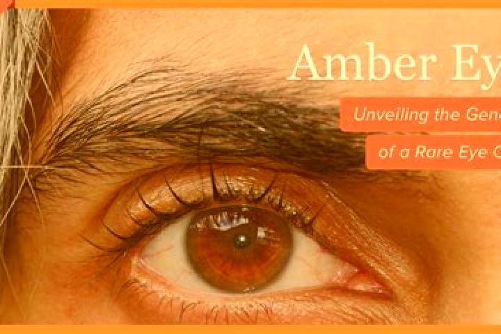 Kinsley, 39, a red amber-eyed caribbean companion based in Mhalamba. Offering 69, CIM, Deep French Kissing, Striptease, GFE. Available for incall and outcall...