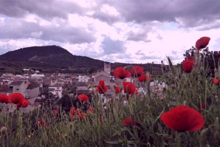 Kinsley, 39 — Escort in Bicorp, Spain