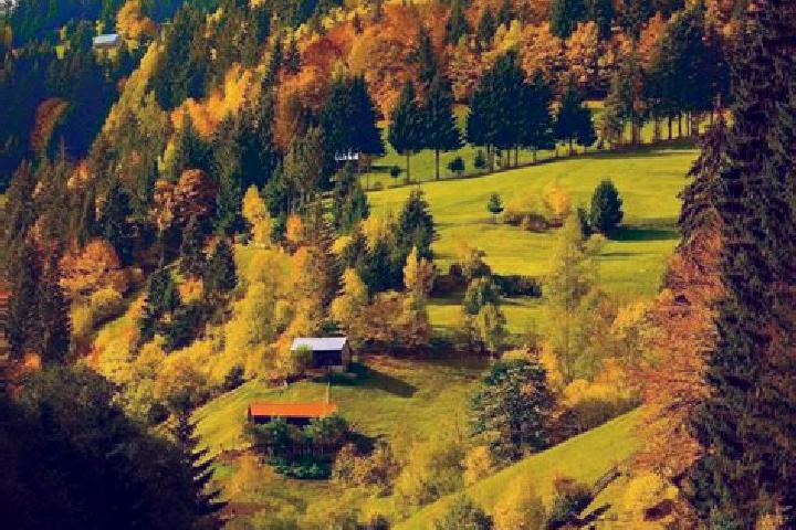 Kinsley, 39 — Escort in Fierbintii de Sus, Romania