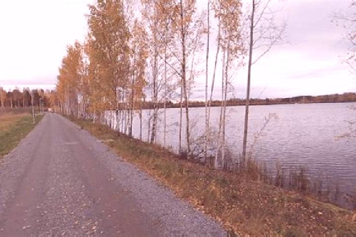 Kinsley, 39 — Escort in Lentaevaenniemi, Finland
