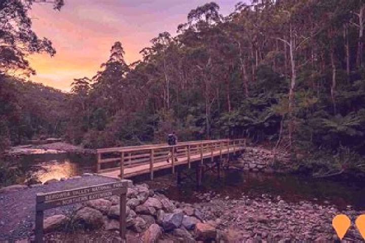 Kinsley, 39 — Escort in Mount Colah, Australia