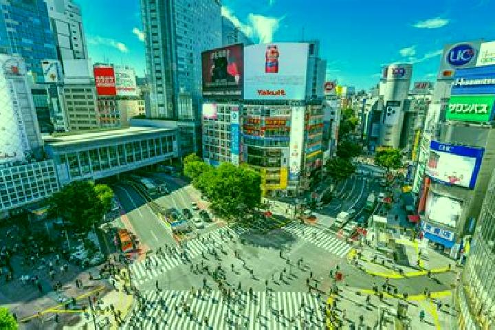 Kinsley, 39 — Escort in Shibuya, Japan
