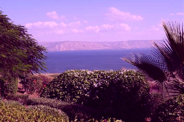 Kinsley, 39 — Escort in Tiberias, Israel