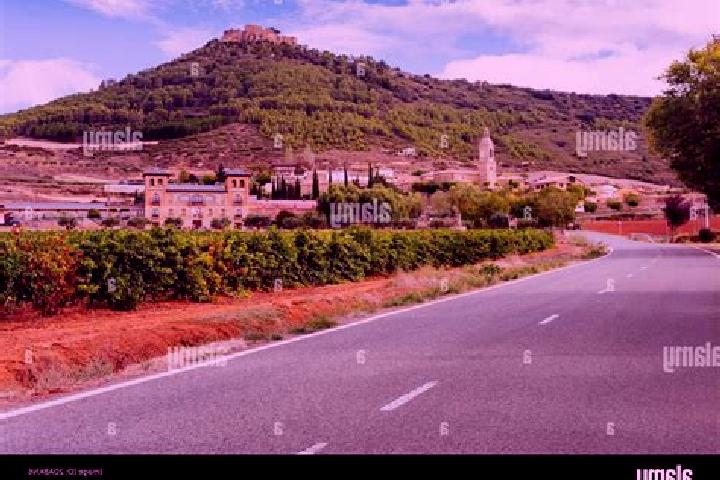 Kinsley, 39 — Escort in Villamayor de Monjardin, Spain