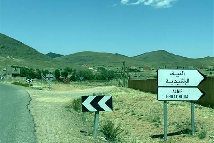 Layla, 20 — Escort in Alnif, Morocco