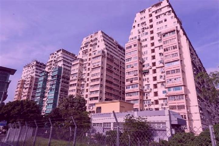 Layla, 20 — Escort in Lai On Estate, Hong Kong