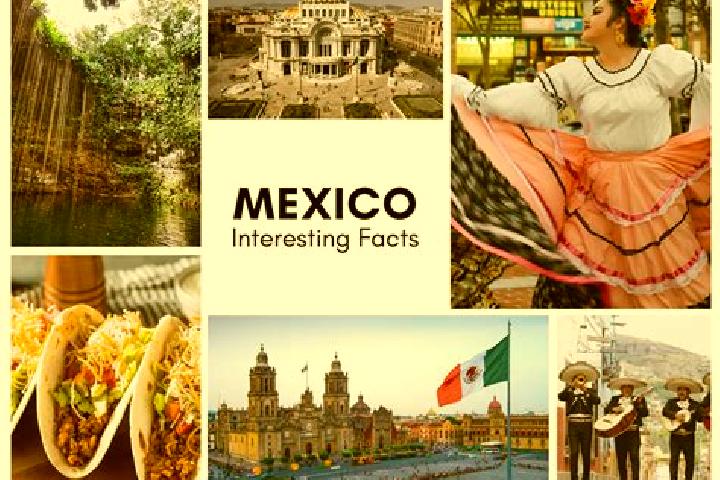 Layla, 20 — Escort in Loma Grande, Mexico
