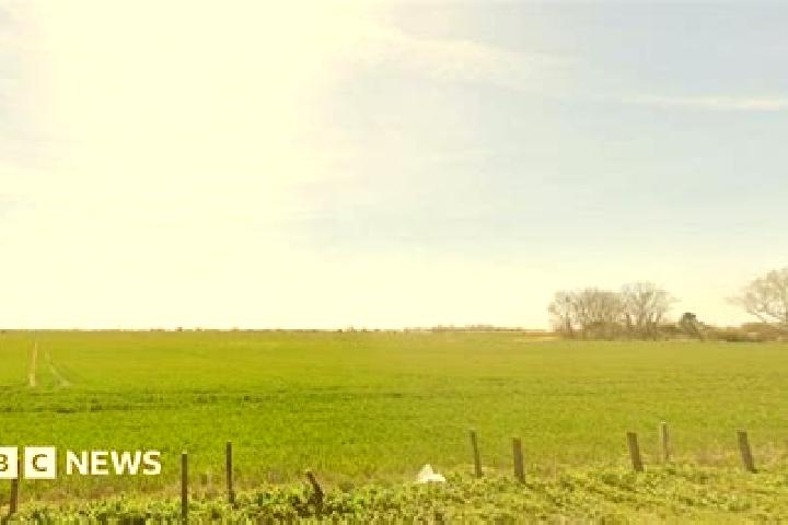 Layla, 20 — Escort in Romney Marsh, United Kingdom