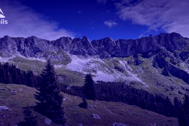 Layla, 20 — Escort in Saas im Praettigau, Switzerland
