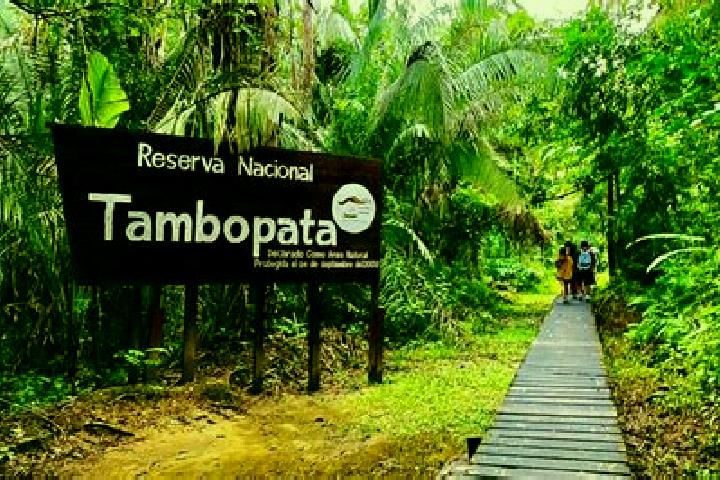 Layla, 20 — Escort in Tambopata, Peru