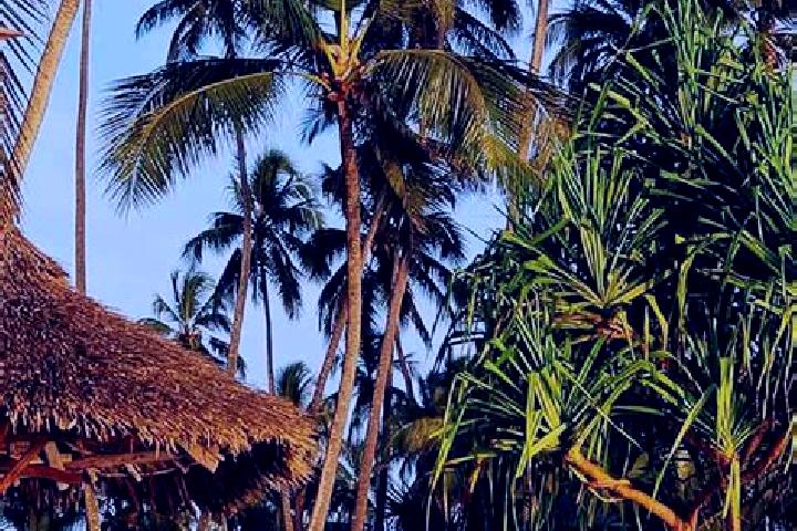 Layla, 20 — Escort in Tinde, Tanzania