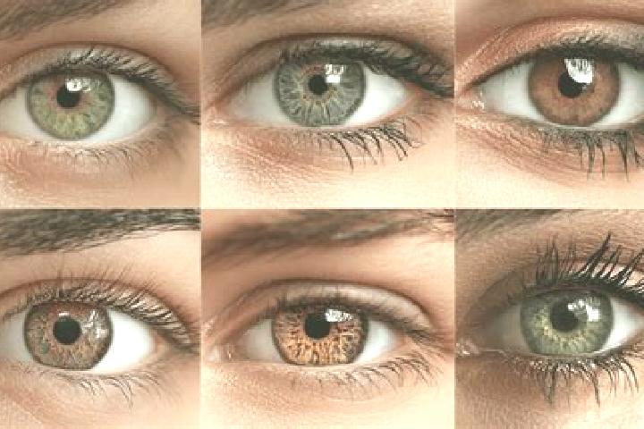 Layla, 21, a auburn hazel-eyed caucasian companion based in Godic. Offering OWO, BDSM, Couples, Girlfriend Experience. Available for incall and outcall, day ...
