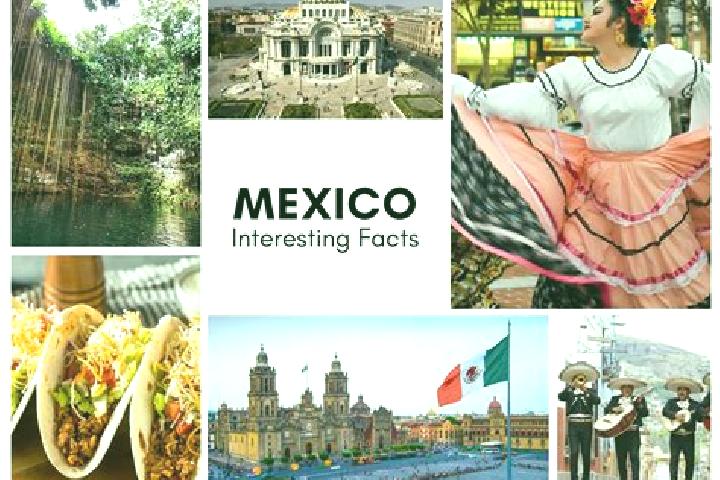 Layla, 21 — Escort in Chemax, Mexico