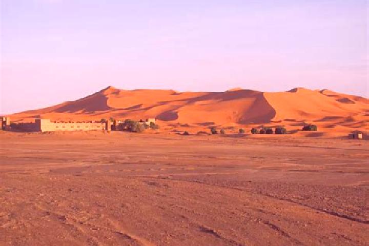 Layla, 21 — Escort in Driouch, Morocco
