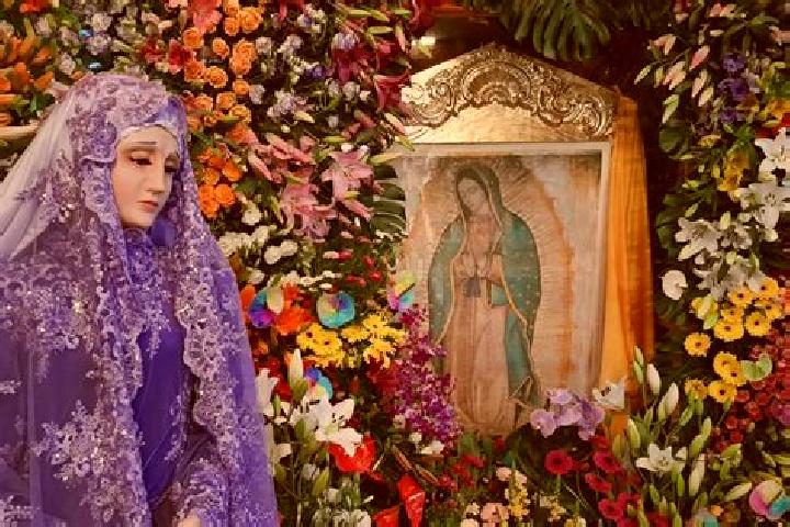 Layla, 21 — Escort in Santa Ana Ixtlahuatzingo (Santa Ana), Mexico
