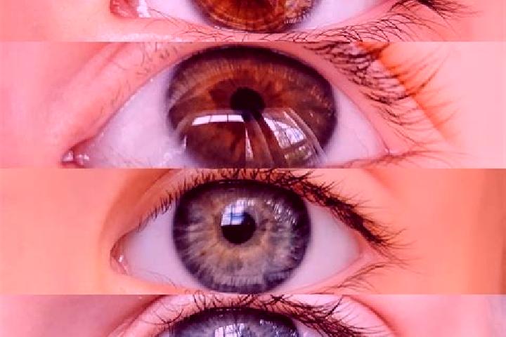 Layla, 22, a chestnut dark-eyed mixed companion based in Jardim Botanico. Offering Travel Companion, OWO, GFE, Overnight, Fetish. Available for incall and ou...